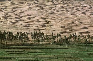 Image result for desertification china