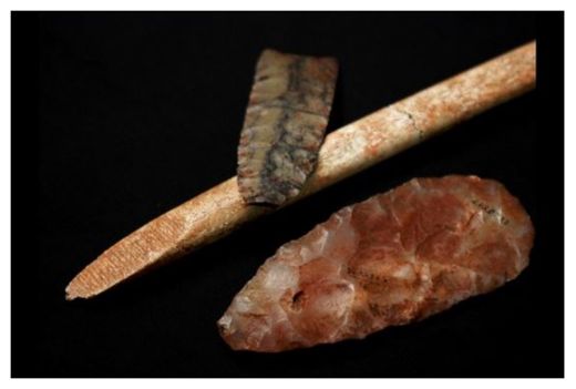 Click to enlarge Clovis Tool
