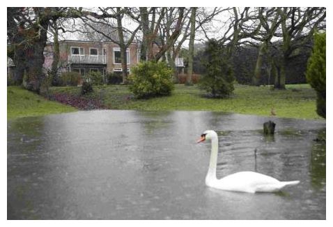 Click to enlarge Flood