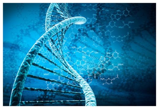 Gene