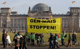 GMO Protest