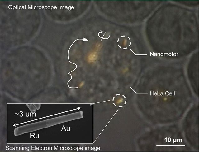 Nanomotors