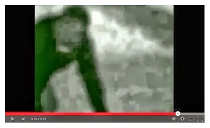 Click to enlarge Werewolf?