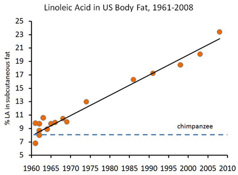 Click to enlarge Image