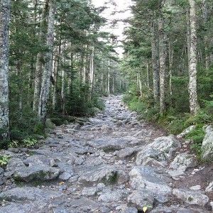 trail