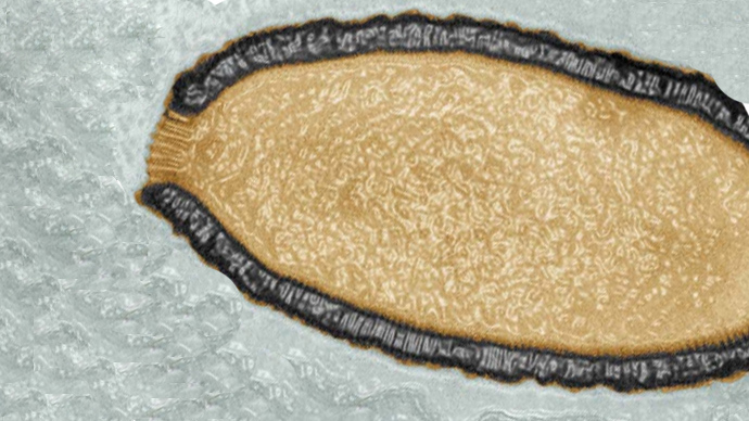 giant virus
