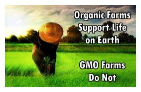 Organic Farms