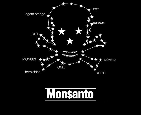 Click to enlarge Monsanto