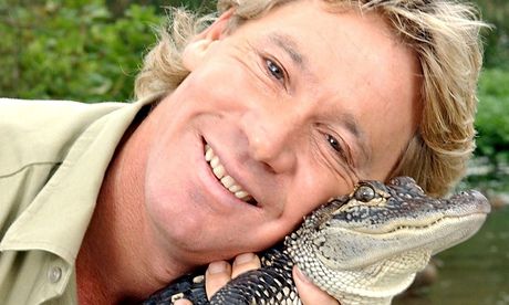 Click to enlarge Steve Irwin