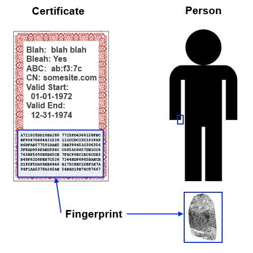 Hash Fingerprint