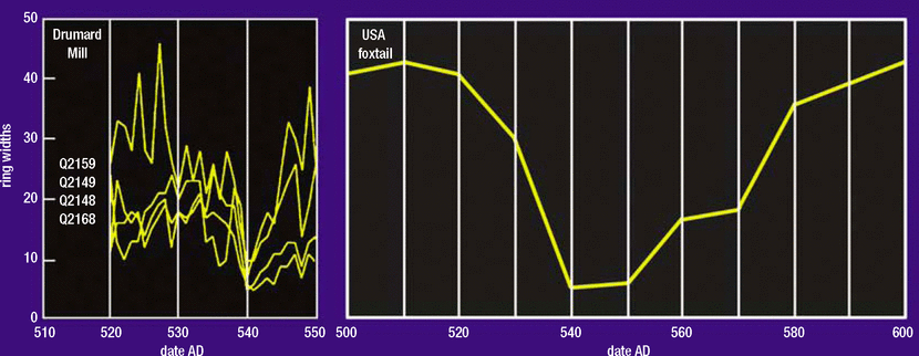 tree ring comparison