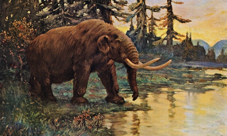 Click to enlarge Image