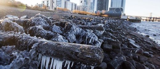 freezing logs