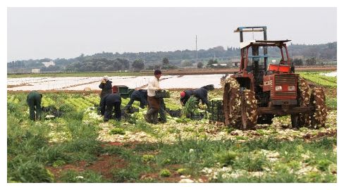 Farm Workers