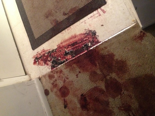 Todashev bloodstains