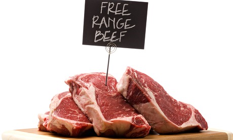 grass fed beef