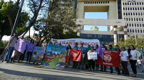 Click to enlarge chile monsanto