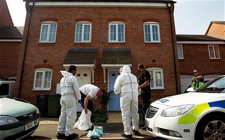 Click to enlarge japanese knotweed murder