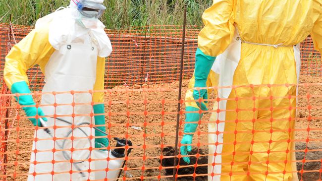 Ebola virus in Guinea