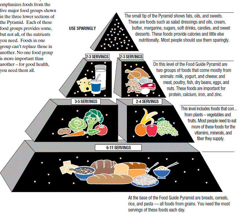 Click to enlarge Food Oyramid