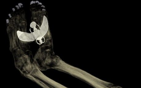 egyptian singer's mummy
