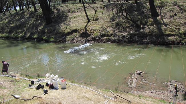 Condamine River