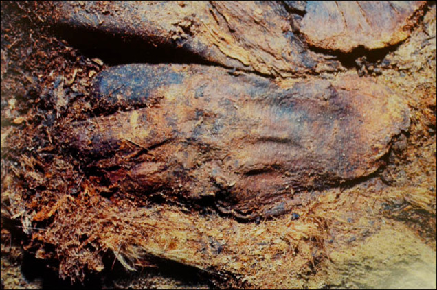Click to enlarge Image
