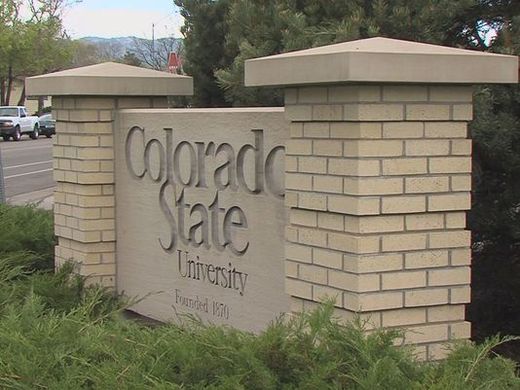 csu