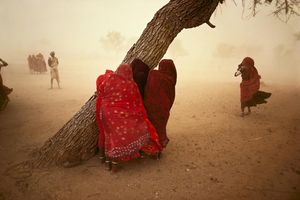 India dust storm 1983