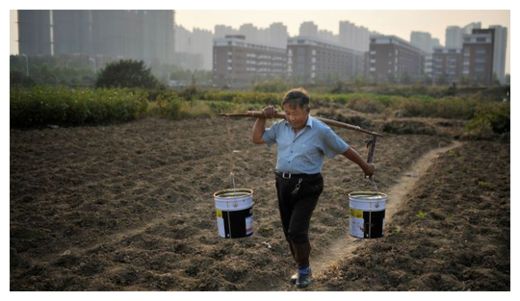 Polluted Farms