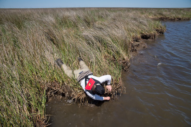 Click to enlarge oil spill research
