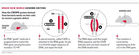 Genetic Code