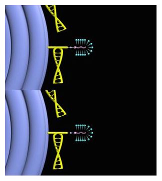 Nanobot