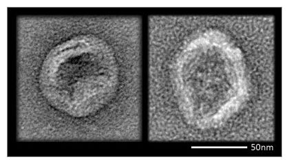 Click to enlarge Nanobot_1
