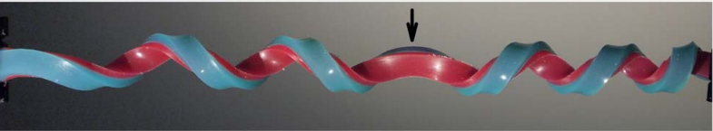 Hemihelix