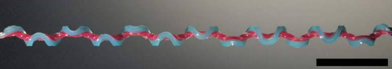Click to enlarge Hemihelix_1