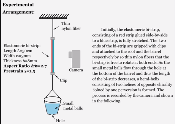 Click to enlarge Hemihelix_2