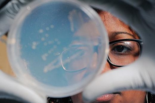 high altitude bacteria