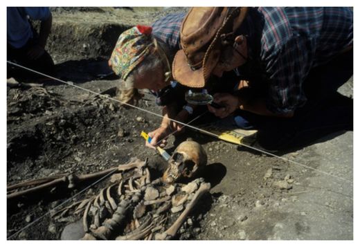Click to enlarge Skeleton
