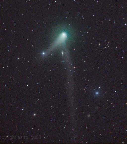 Comet C/2012 K1