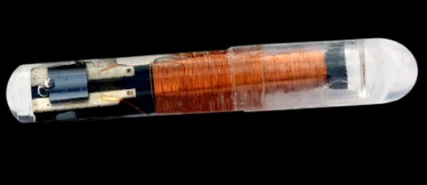 implant