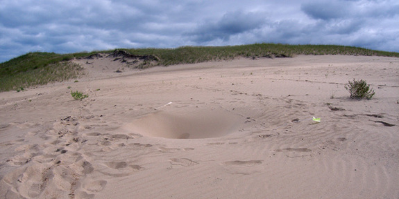 Mystery Holes