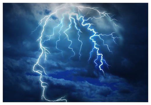Brain