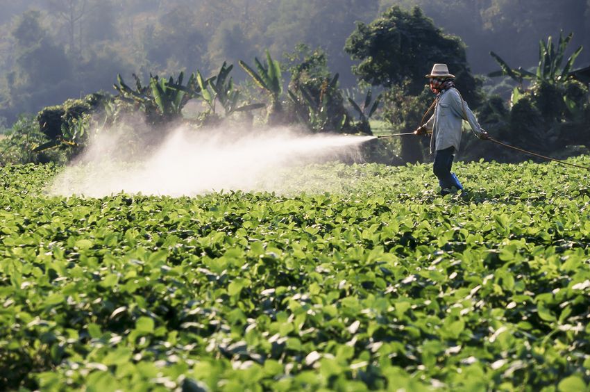 herbicide spraying
