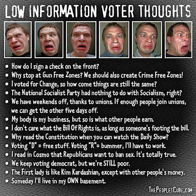 voter