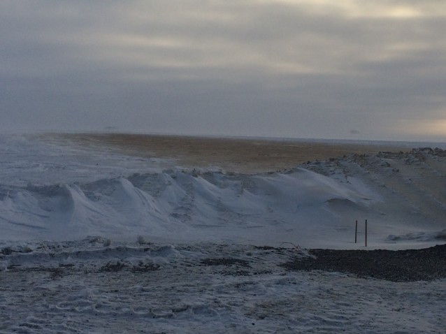 BP_Alaska tundra
