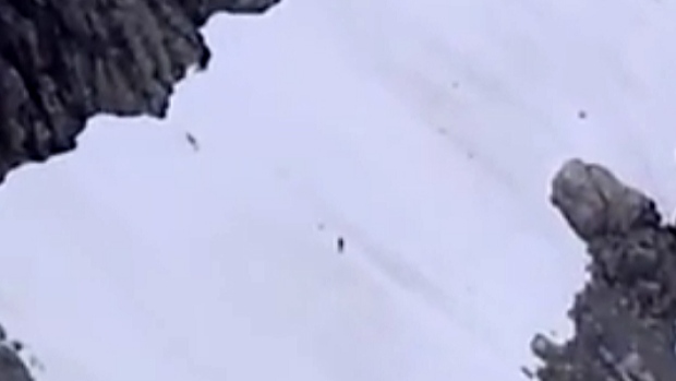 Possible Sasquatch