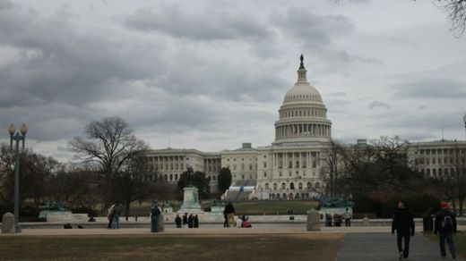 Click to enlarge US Congress