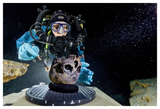 Human Skull