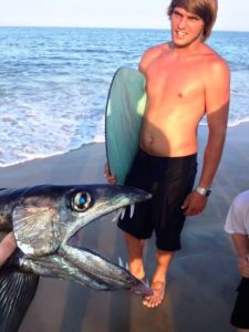 Lancetfish_1